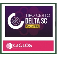 PC SC DELEGADO - TIRO CERTO - RETA FINAL DELTA SC ( CICLOS 2024) - Rateio Policia Civil Santa Catarina Reta Final PCSC